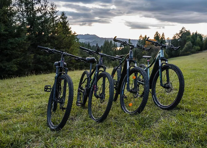 Karolina Πανσιόν 3*